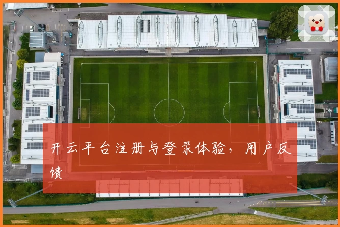开云平台注册与登录体验，用户反馈